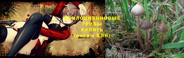 стаф Балабаново